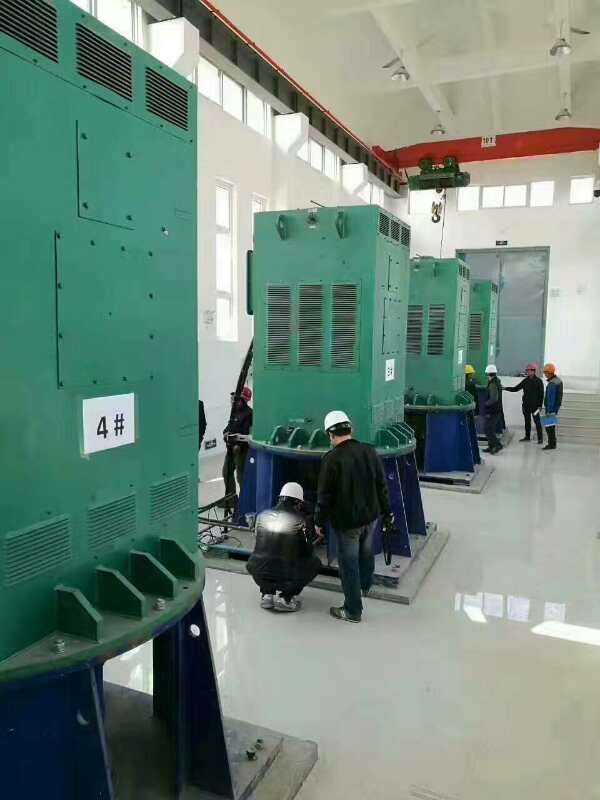 绍兴某污水处理厂使用我厂的立式高压电机安装现场